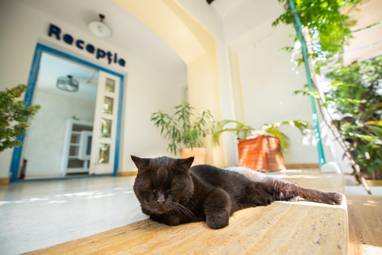 Vila Pontica Năvodari Esterno foto